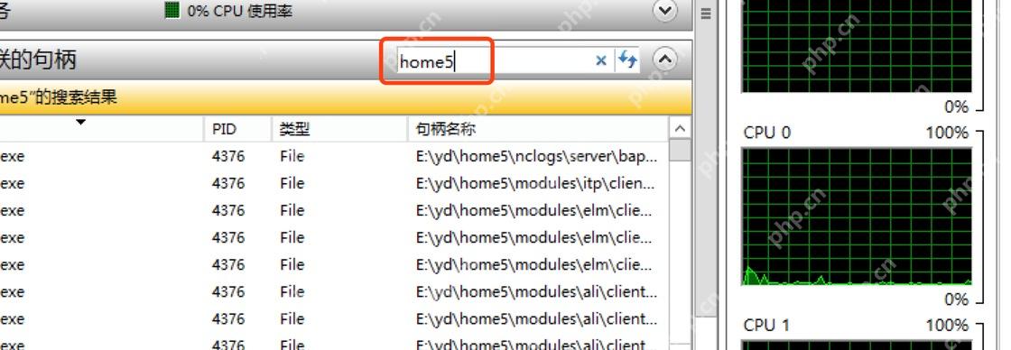 Win11怎么查看哪个程序正在占用文件 释放占用