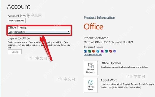Office 账户页面中的 Office Theme 下拉框用于切换深灰色或黑色主题