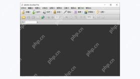 使用Adobe Acrobat图1