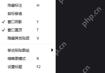 Windows 中文 PixPin 图像贴图右键菜单局部显示窗口置顶和隐藏其他贴图,证明参考图贴到桌面后可以按当前任务决定是否置顶