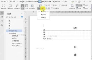 如何调整文档导航窗格位置（靠左、靠右）？设置效果