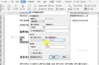 WPS如何文档窗体域属性?设置效果