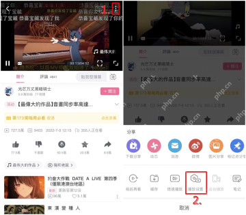 哔哩哔哩弹幕开关关闭状态