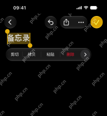 iPhone中文文本选区显示剪切拷贝粘贴菜单