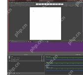 OBS Studio 主界面来源列表区域用于调整边框来源和视频来源层级