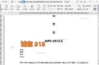 WPS如何在文档中插入稻壳艺术字？结果检查