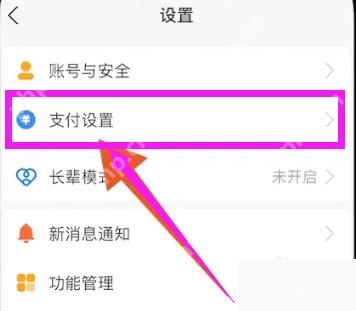 支付宝设置页里的支付设置入口,用于继续关闭小额免密支付