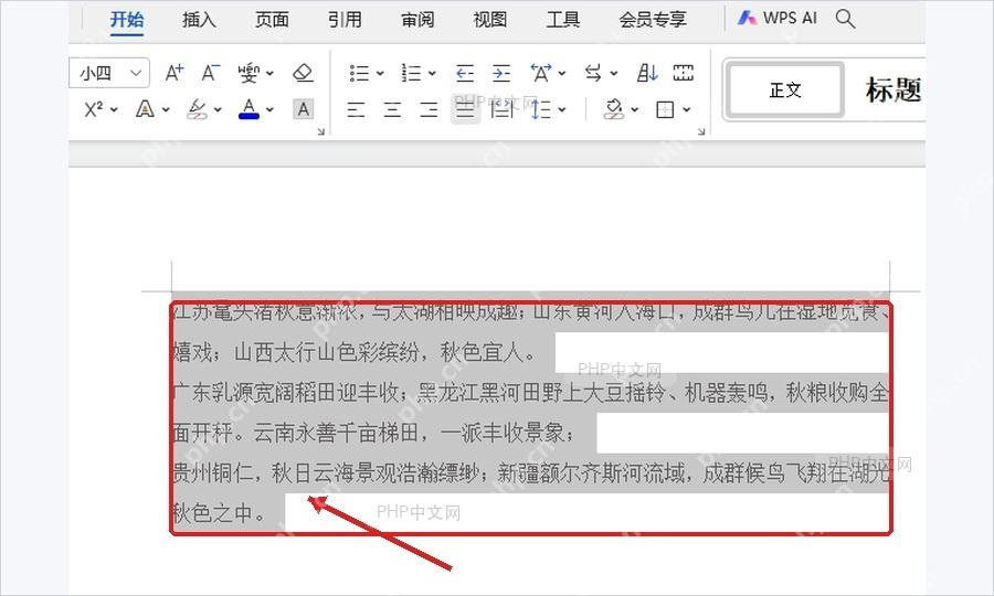 WPS文字中选中左侧没有贴边的段落用于检查缩进