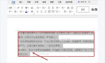 WPS文字中选中左侧没有贴边的段落用于检查缩进