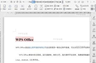 如何将批注显示“已解决”?入口位置
