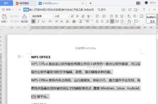 如何修复WPS？
