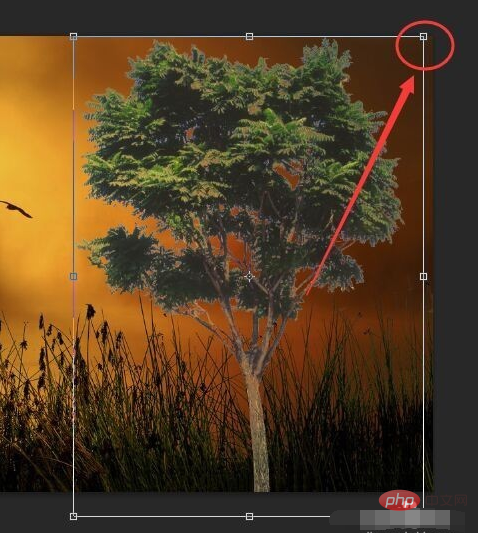 How to reduce the size of the image captured in PS