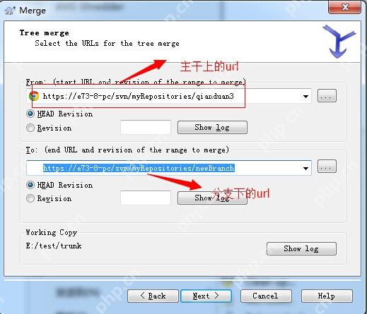 SVN版本控制系统入门指南 - php中文网