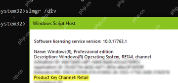 slmgr /dlv 结果中的 Product Key Channel Retail 字段