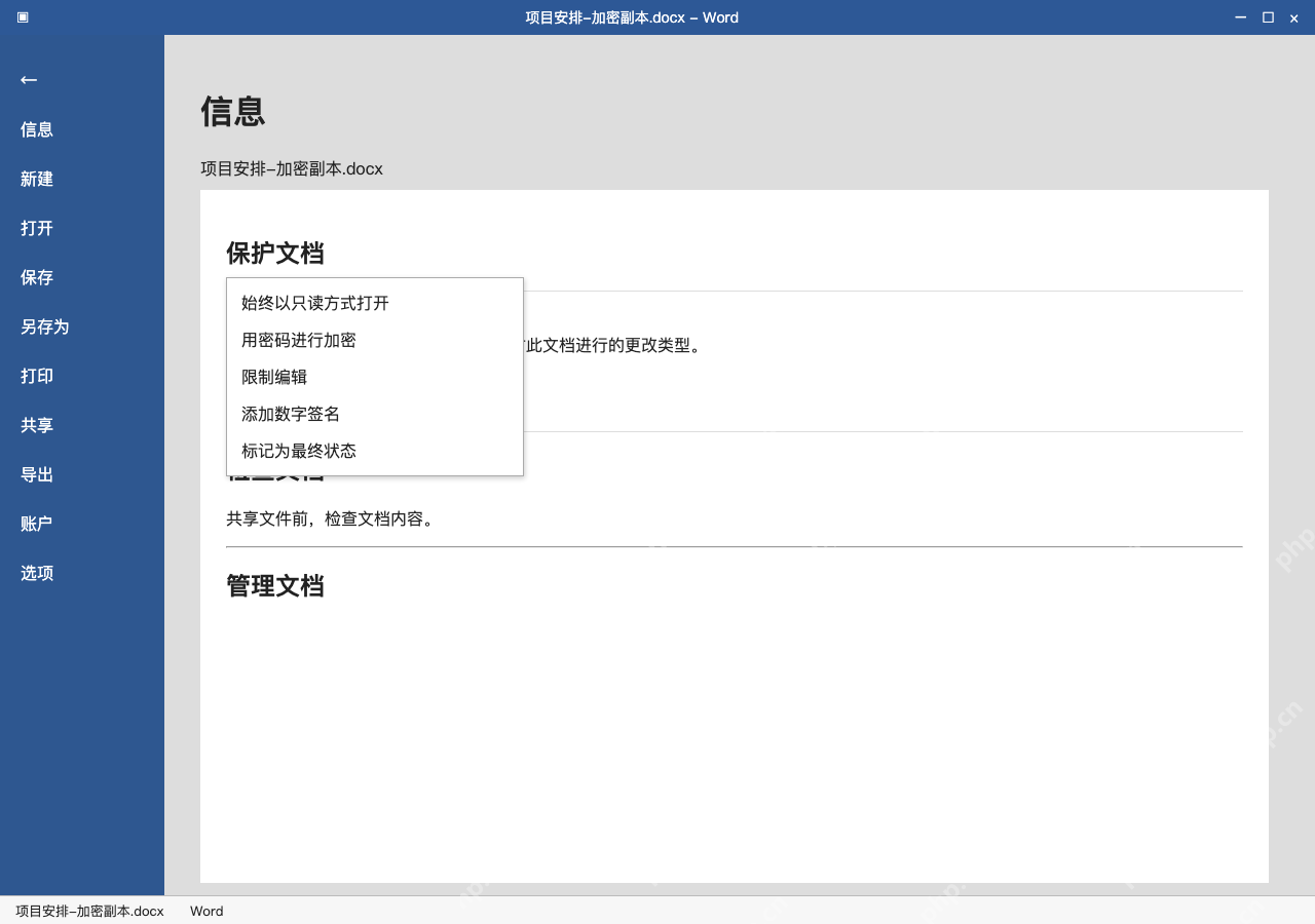 模拟 Microsoft Word 简体中文桌面版完整界面：从文件信息进入加密入口