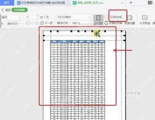 WPS 打印预览中调整页边距和缩放比例，处理表格宽度超页的打印异常