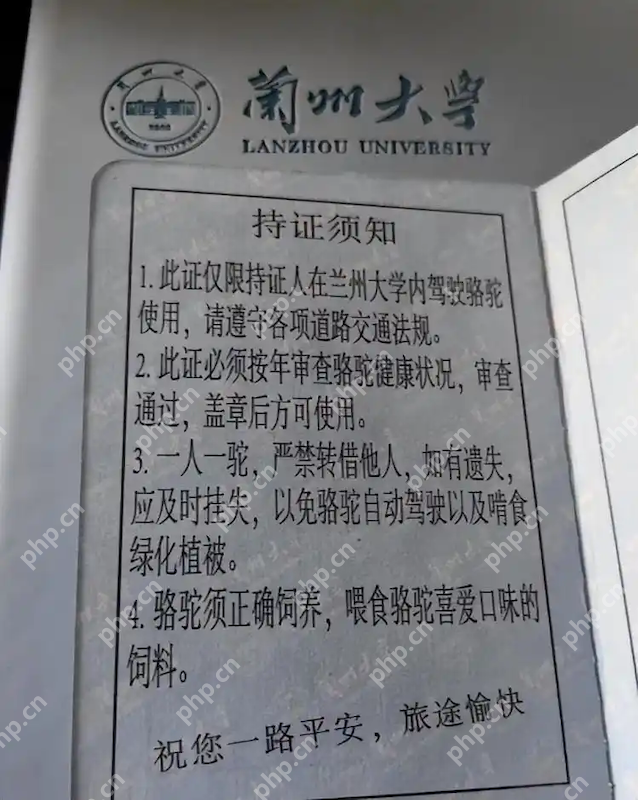 学生持证骑骆驼上学?兰州大学回应 - php中文网