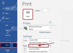 Word 打印页面中的页数输入框和打印按钮