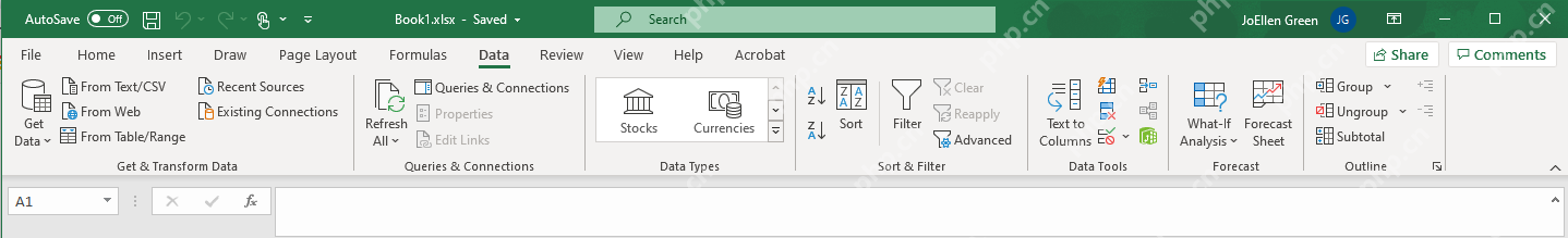 Excel 数据选项卡未显示 Data Analysis 按钮的界面