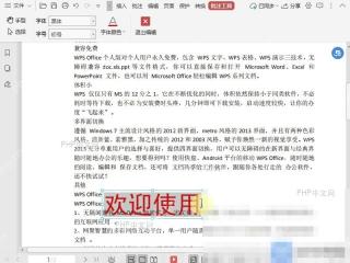 PDF如何设置PDF文档中的批注字体颜色?入口位置