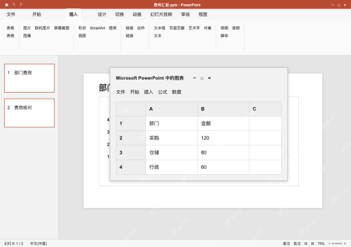 模拟 Microsoft PowerPoint 完整窗口:数据表只保留一列金额,去掉示例系列