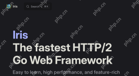 Iris 官网首页展示 The fastest HTTP/2 Go Web Framework 标语