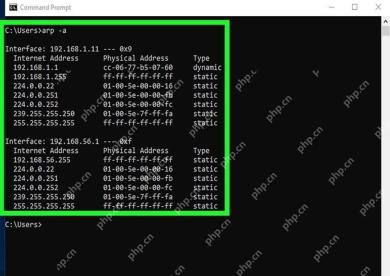 Windows 11 按接口分组核对缓存项的真实界面截图