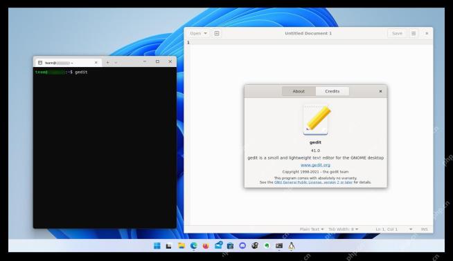 Ubuntu WSL 终端启动 gedit 后显示 Linux 图形应用窗口