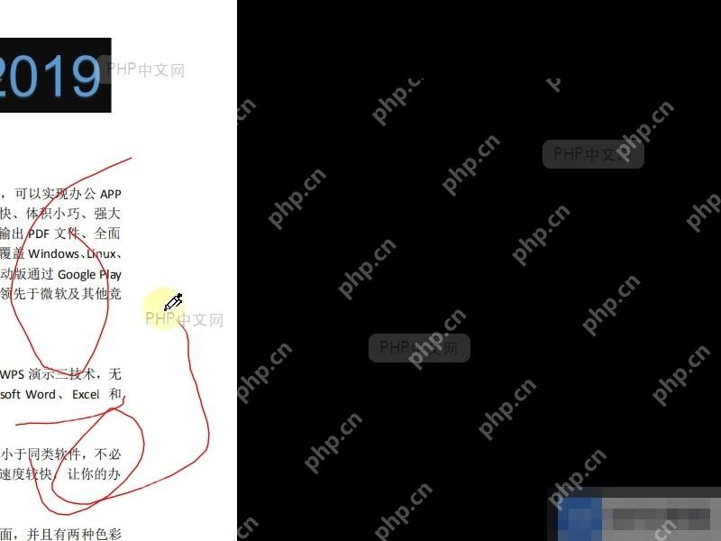 PDF播放时,如何使用圆珠笔工具?设置效果