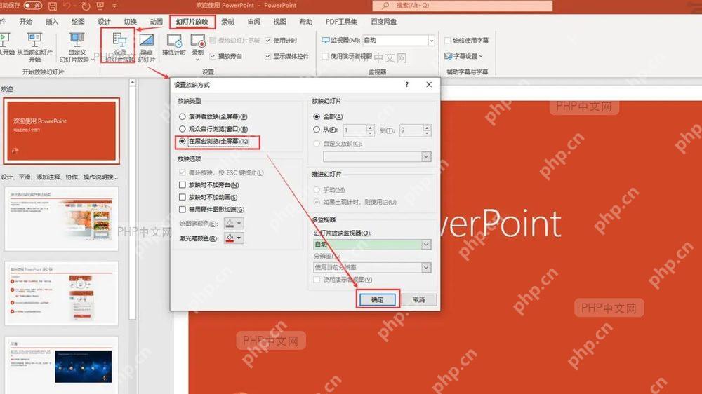 手动播放选项设置
