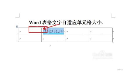 Word 表格文字启用适应文字后的压缩效果