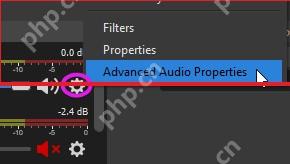 OBS Studio 音频混音器齿轮菜单显示 Filters 和 Advanced Audio Properties 入口