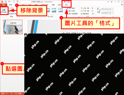 PowerPoint 图片格式中的删除背景工具