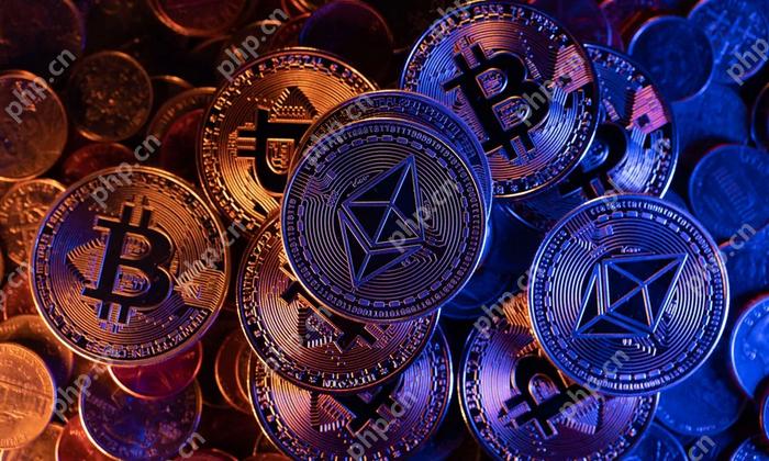 十大虚拟币交易app排行榜最新 全球加密货币交易所2025年前十名 - php中文网