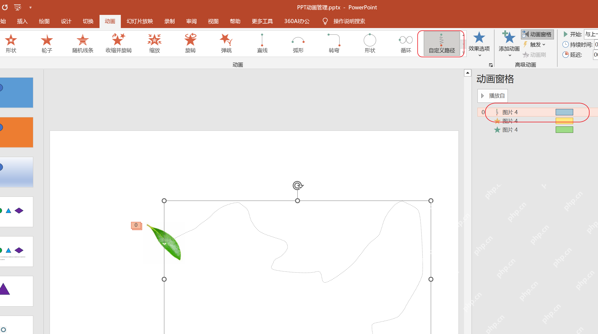PowerPoint 动画选项卡中自定义路径被选中,幻灯片里能看到叶子图片的运动路径