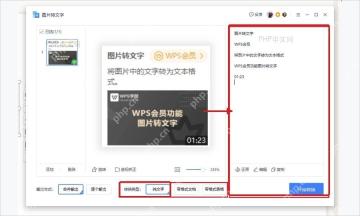 WPS图片转文字窗口右侧OCR结果用于复制到Word翻译