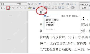 WPS 文字开始选项卡中 U 下划线按钮和带下划线文字效果