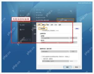 Bandicam 音频设置中取消录制音频用于排查启动后无法录制