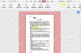 PDF如何快速选择PDF文档中的纵向页面?中间操作