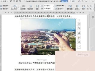 在 WPS 中设置图片文字环绕方式