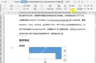 如何旋转文档中插入的对象?设置效果