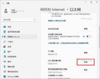 Windows DNS 编辑窗口示意,适合填写首选和备用 DNS 并保存