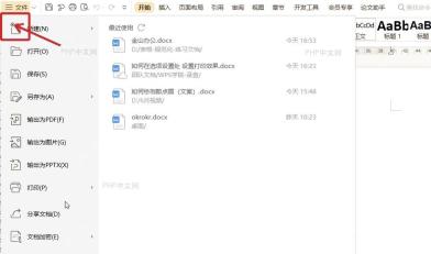 WPS文字左上角文件菜单入口用于设置打印效果