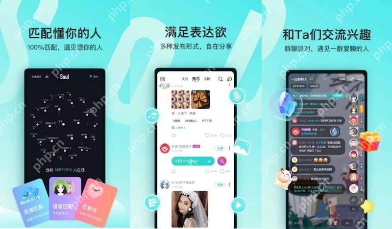 Soul消息发送失败怎么办? - php中文网