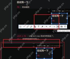 Snipaste Windows 截图工具条高亮复制保存和标注按钮
