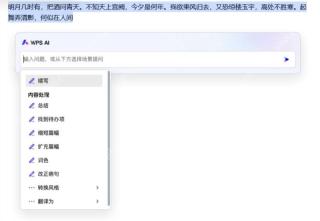 WPS AI对文档内容进行总结改写润色等操作的功能菜单截图