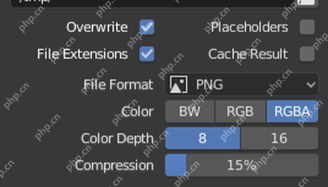 Blender Output 面板中 File Format 为 PNG 且 Color 可选 BW RGB RGBA