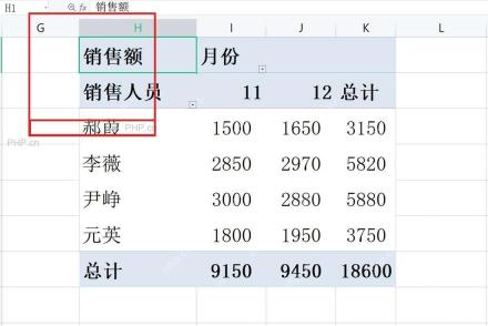 WPS表格数据透视表结果区域,审阅销售额字段和总计行