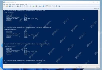 PowerShell Get-Help 显示脚本或函数参数的类型和必填信息