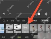 醒图黑白滤镜效果选择